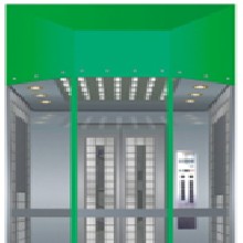 Elevator Decoration , Luxury Decoration Villa Elevator , NHD-510A